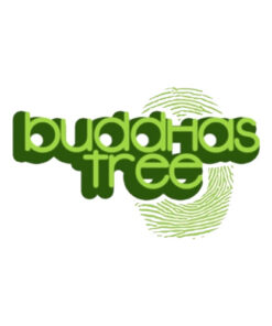 Buddhas Tree