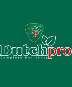 Dutch Pro