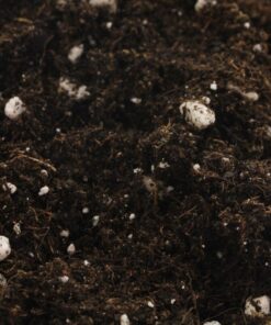 Soil