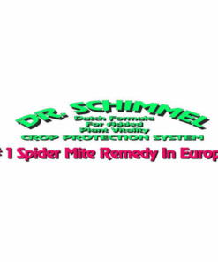 Dr Schimmel