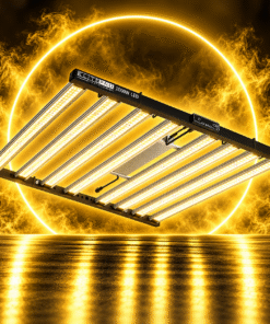 Elite LED