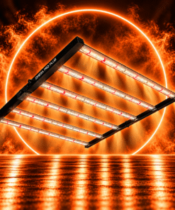 Omega LED