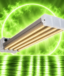 DLI LED