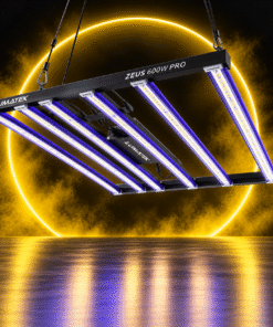 Lighting