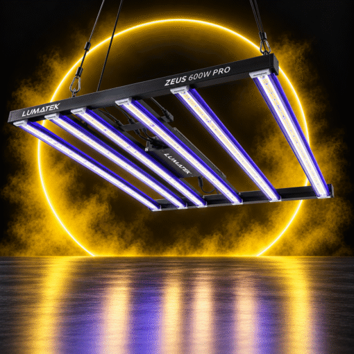 Lighting