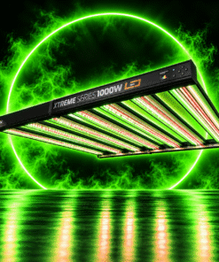 Dimlux LED